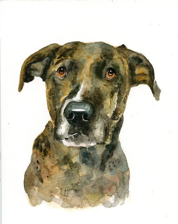 Custom Dog Portrait Custom Pet Portrait Custom Pet Painting