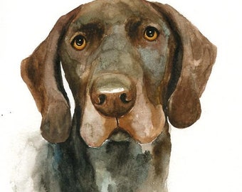 Custom pet portrait Pet portrait painting Pet portrait Custom pet portrait painting Pet memorial Pet portrait watercolor Custom Dog portrait