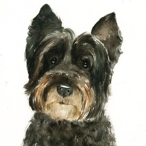 RITRATTO DEL tuo animale DOMESTICO Acquerello su carta 20x25cm