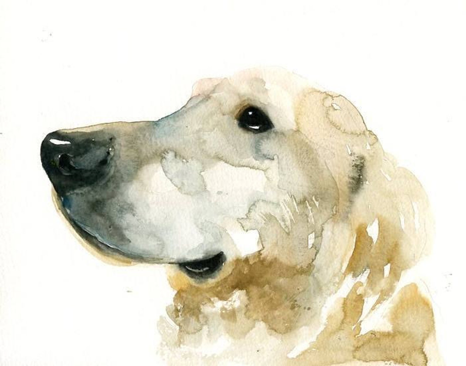 Custom Pet Portrait Watercolor Pet Portrait Dog Portrait - Etsy