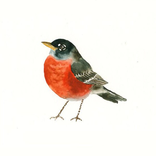 RED breasted ROBIN by DIMDI Original watercolor painting 10x8inch
