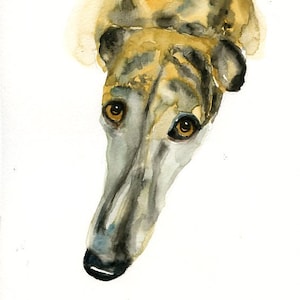 RITRATTO DEL tuo animale DOMESTICO Acquerello su carta 20x25cm