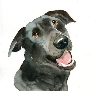 RITRATTO DEL tuo animale DOMESTICO Acquerello su carta 20x25cm