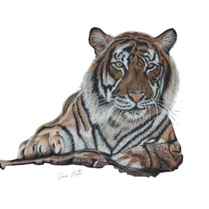 Tiger Painting Wall Art For Home Decor Tiger Print Gift For Friends Home Gift