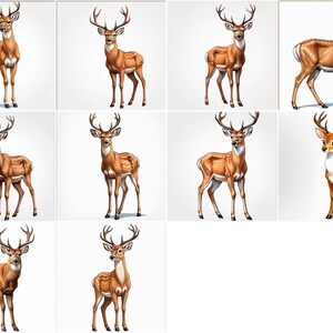 Grace of the Wild: una colección de ilustraciones de ciervos majestuosos
