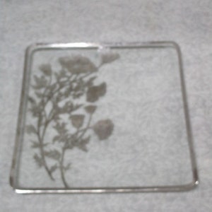 Vintage Plate, Sterling Silver Overlay Crystal, Flanders Poppy, Silver ...