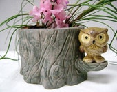Vintage Owl Planter, Woodland Earth Tones, Big Eyed Hooter, Figural, Plant Holder, Pencil Holder, Shelf Sitter, Scrub Pad Holder, NightBird