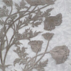 Vintage Plate, Sterling Silver Overlay Crystal, Flanders Poppy, Silver ...