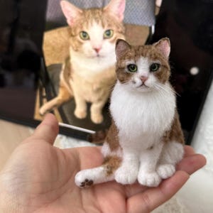 Custom Cat Sculpture | Custom Felt Pets | Wool Felting Animals | Cat Memorial Gifts | Pet Replica | Pet Memorial Gifts | Mother&#39;s day gift