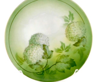 Vintage R S Germany  Green and White Hydrangea Flowers Decorative Plate.