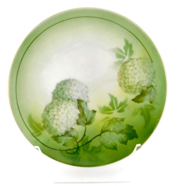 Vintage R S Germany  Green and White Hydrangea Flowers Decorative Plate.