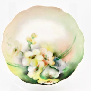 Antique Roshental Chrysantheme Bavaria Hand Painted Floral Plate. R C Chrysantheme.
