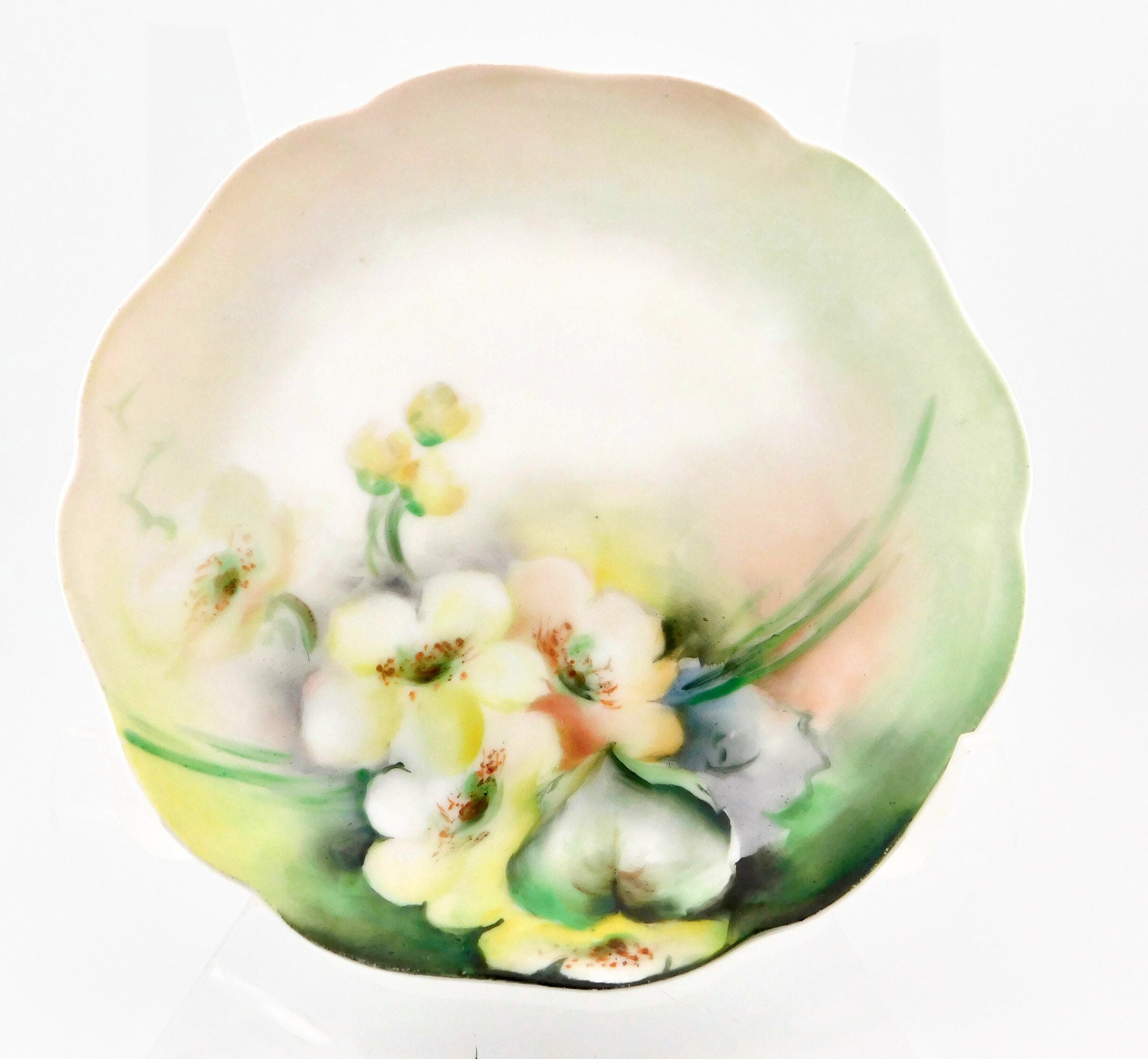 Antique Roshental Chrysantheme Bavaria Hand Painted Floral Plate