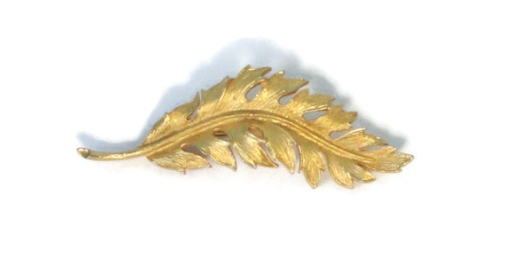 Coro pin best sale