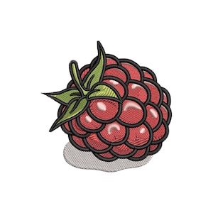 May include: Embroidered raspberry design with a detailed texture. The fruit is a vibrant red with black outlines, and green leaves. The design is on a light gray, textured surface, suggesting a patch or applique.