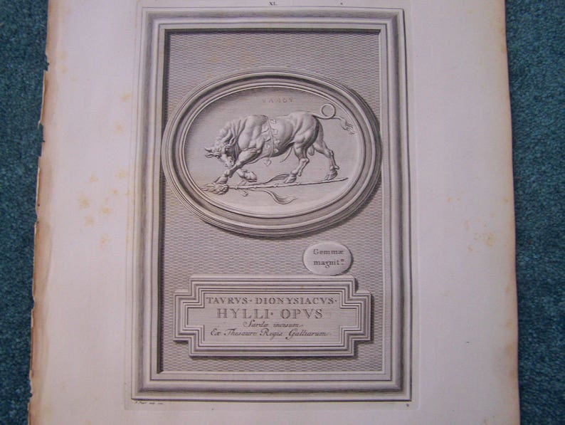 Taurus the Bull Antique Print