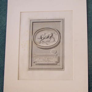 Taurus the Bull Antique Print