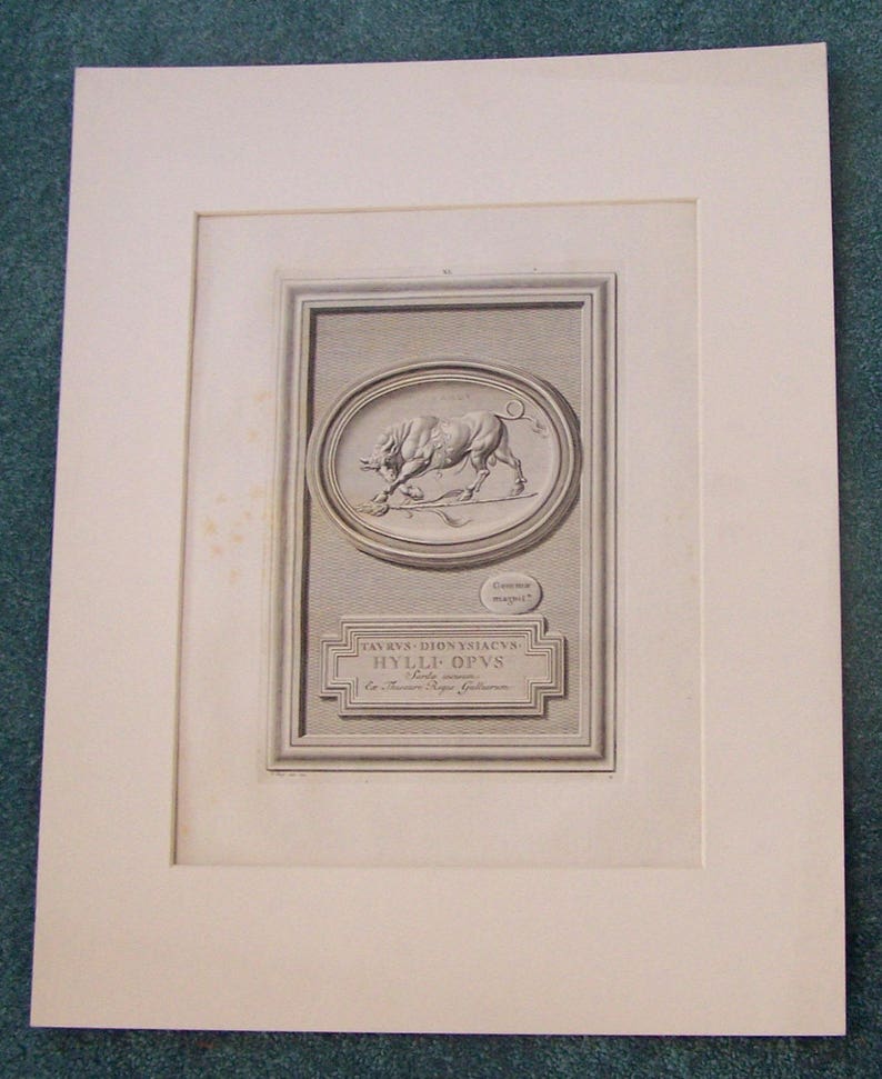 Taurus the Bull Antique Print