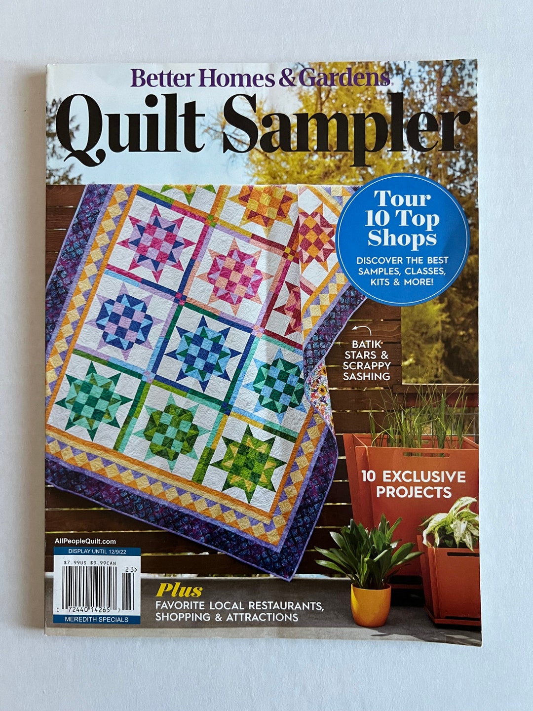 Quilt Sampler Magazine Fall Winter 2022/better Homes and Etsy