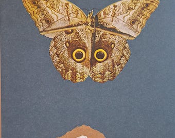 Personal development butterfly collage