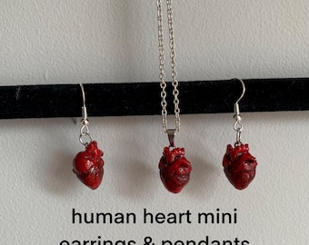 Anatomisch nauwkeurige oorbellen en hangers van menselijk hart