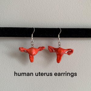 Anatomically Accurate Human Uterus Earrings