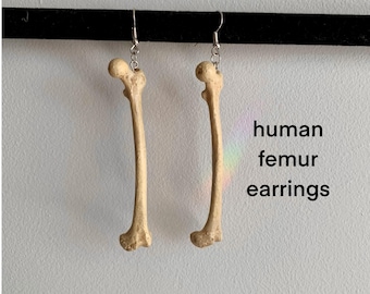 Anatomically Accurate Human Long Bone Earrings