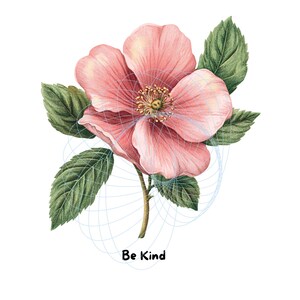 Clip Art - Citazioni ispiratrici sui fiori