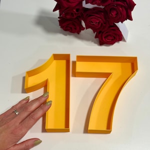 Bandeja de números rellenable para mesa: decoración de números para cumpleaños, números vacíos, postres para baby shower, letras huecas para dulces.