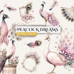 Pfau Träume - 29 Pastell Aquarell PNGs | Elegante Vögel, zarte Federn, Blumenrahmen & Schleifen für Digitalen Planner, Karten, Scrapbooking