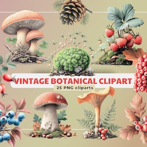 Vintage Botanical Clipart: Watercolor Forest Mushrooms, Berries (PNG Digital Download)