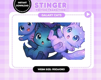 Galaxy Cat Stream Transition | WEBM Stinger for OBS & Streamlabs | Animated Twitch Overlay