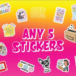 Any 5 Stickers, Funny Sticker, Sarcastic Sticker, Cute Sticker, Laptop Sticker, Water Bottle Sticker, Custom Sticker, Meme Sticker