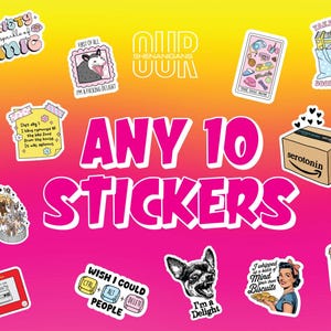 Any 10 Stickers, Funny Sticker, Sarcastic Sticker, Cute Sticker, Laptop Sticker, Water Bottle Sticker, Custom Sticker, Meme Sticker