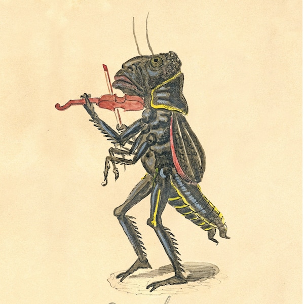 Charles Briton : Grasshopper jouant le violon en 1873