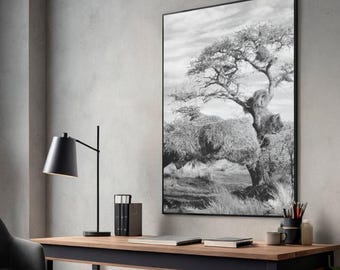 Op de afbeelding: Een zwart-wit ingelijste muurkunstprint met een grote boom met een dichte kroon en getextureerde takken. Het kunstwerk wordt gepresenteerd in een dunne zwarte lijst en toont een gedetailleerd landschap met natuurlijke bladeren.