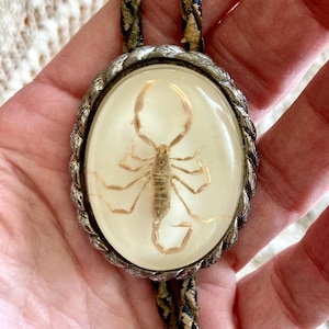 May include: Oval bolo tie pendant featuring a preserved scorpion encased in clear resin. The pendant has a silver-colored, rope-textured border. The braided cord is black and brown.