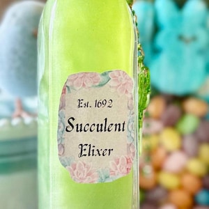 Succulent Elixer Decorative Bottle  Botanical Apothecary Potion Bottle  Fairycore Home Decor  Handmade Display Jar