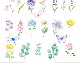 Ensemble de cliparts floraux aquarelles : papillons, libellule (téléchargement numérique au format PNG)