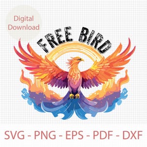 Phoenix Svg, Colorful Phoenix Svg Png Sublimation Designs, Free Bird Svg Png, Fire Bird Svg, Phoenix Mythological Rebirth Svg, Bird Svg Png