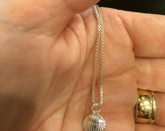 Scallop Shell Fine Silver Necklace Cute and Small