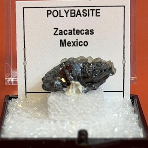 Puede incluir: Un espécimen mineral de Polibasita de Zacatecas, México, exhibido en una caja negra con tapa transparente. El mineral gris oscuro con brillo metálico descansa sobre una base de pelusa blanca. La etiqueta dice "POLYBASITE" y "Zacatecas Mexico".