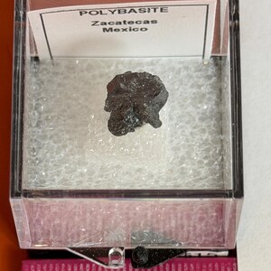 Puede incluir: Un pequeño espécimen mineral de Polibasita gris oscuro de Zacatecas, México, exhibido en una caja de plástico transparente. El espécimen mide aproximadamente 2,5 cm de largo, con una regla rosa y de madera en primer plano.
