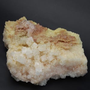 Halit Specimen