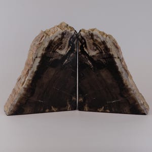 Versteinertes Holz Buchstützen Stein Fossil Wohnkultur Geschenk für Ihn Ihr Vatertag Rock und Mineralien Oregon