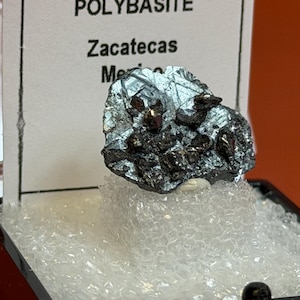 Puede incluir: Un espécimen mineral de polibasita de Zacatecas, México, presentado en una pequeña caja negra. El mineral tiene un brillo metálico, gris plateado, con acentos marrón oscuro y marrón rojizo. El espécimen descansa sobre un lecho de material blanco y esponjoso.