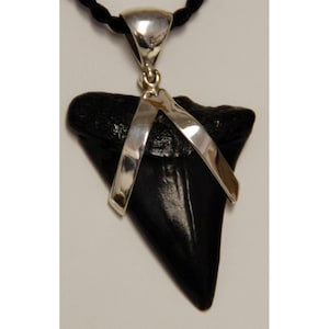 Shark Tooth Pendant in Sterling Silver