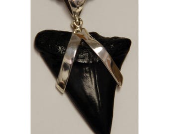 Haaientandhanger in sterlingzilver