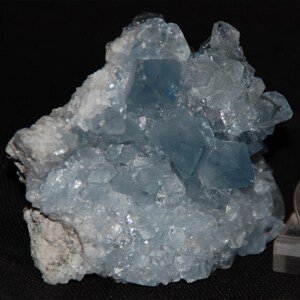 Blue Celestite Cluster