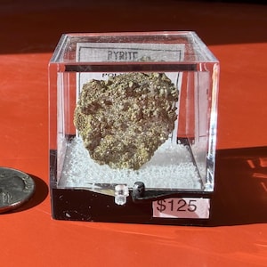 Puede incluir: Un espécimen de pirita en una vitrina transparente. La pirita tiene un color dorado metálico y está etiquetada como "PYRITE". La vitrina está sobre una superficie roja junto a una moneda.